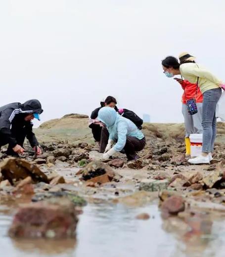 广东南澳岛赶海潮汐表（4月10日）