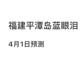 福建平潭岛蓝眼泪4月1日预测