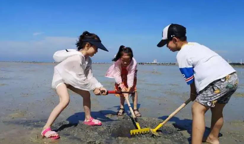 涠洲岛赶海潮汐表（6月20日）