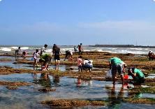 平潭岛赶海潮汐表（6月24日）