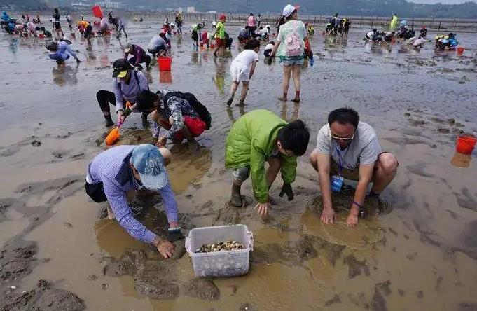 东山岛赶海潮汐表（6月16日）