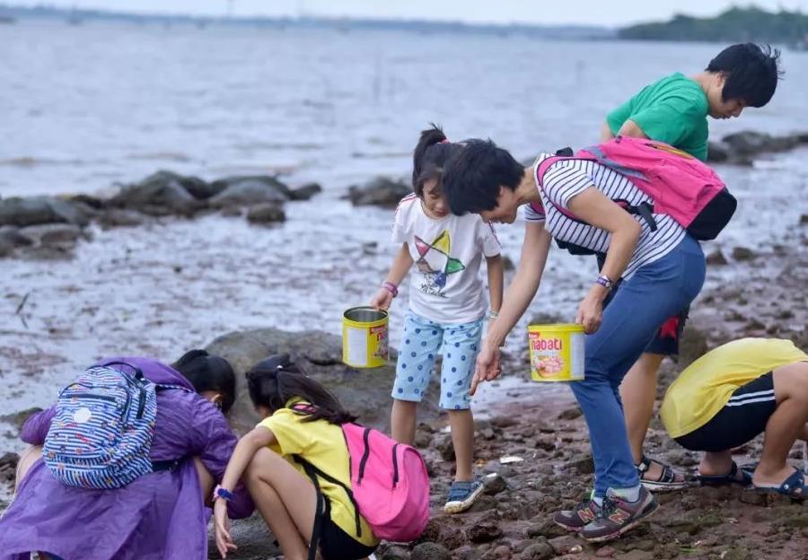 广西涠洲岛赶海潮汐表（6月23日）