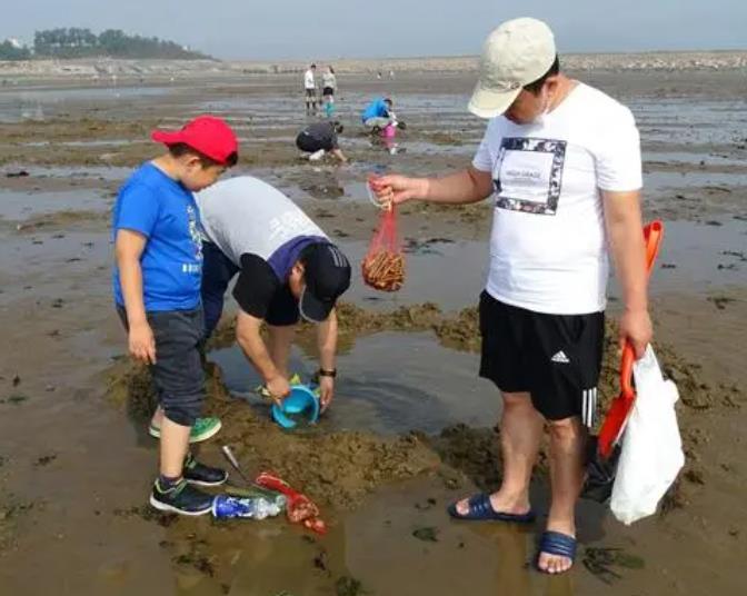 平潭岛赶海潮汐表（6月19日）