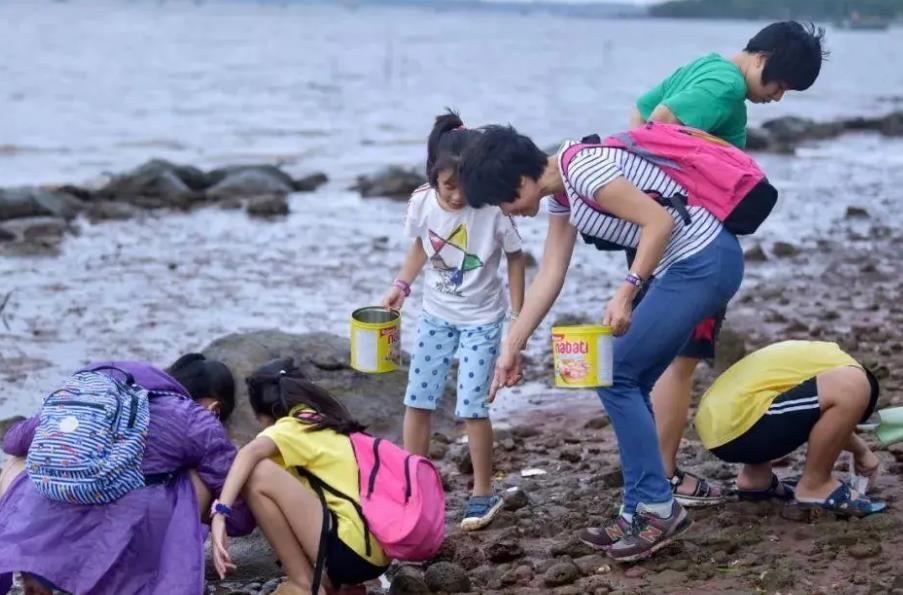 涠洲岛赶海潮汐表（7月1日）