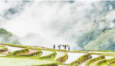 贵州发布夏季避暑旅游优惠措施