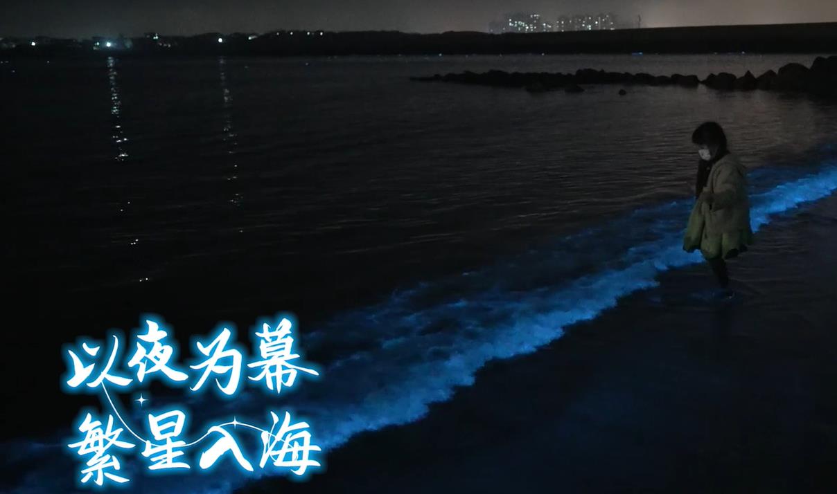 平潭岛端午节蓝眼泪预测（6月22日-24日）