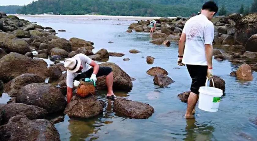 涠洲岛赶海潮汐表（7月9日）