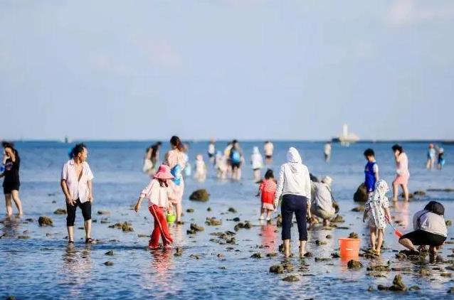 平潭岛赶海潮汐表（7月19日）