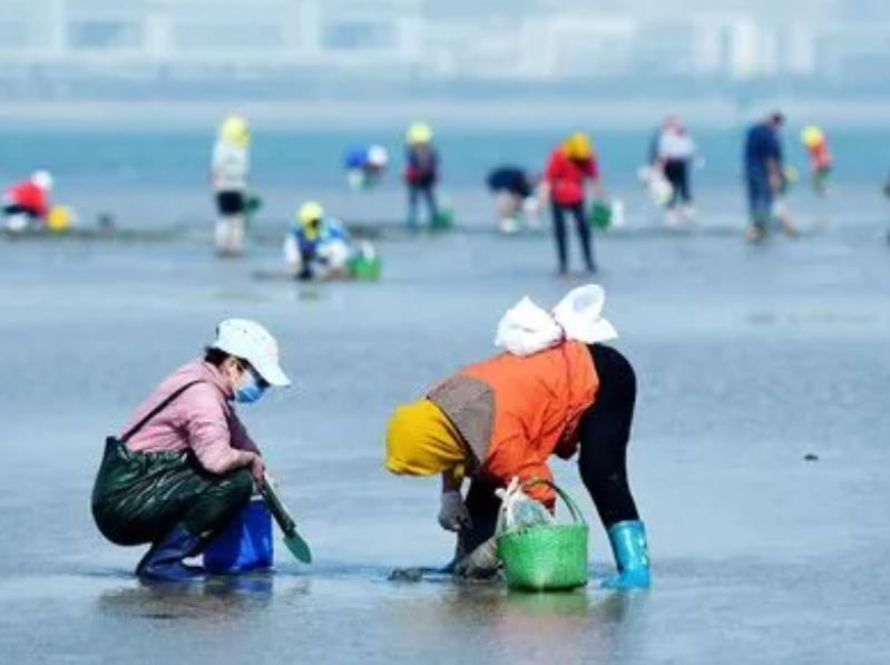 东山岛赶海潮汐表（7月30日）