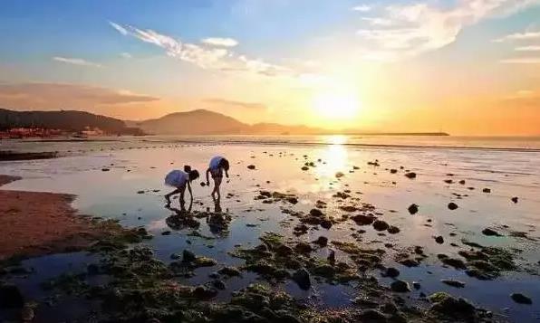 平潭岛赶海潮汐表（8月4日）