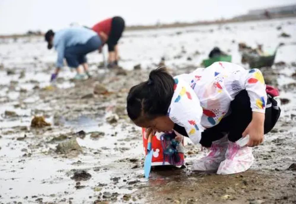 东山岛赶海潮汐表（8月8日）