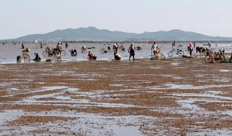 平潭岛赶海潮汐表（8月9日）