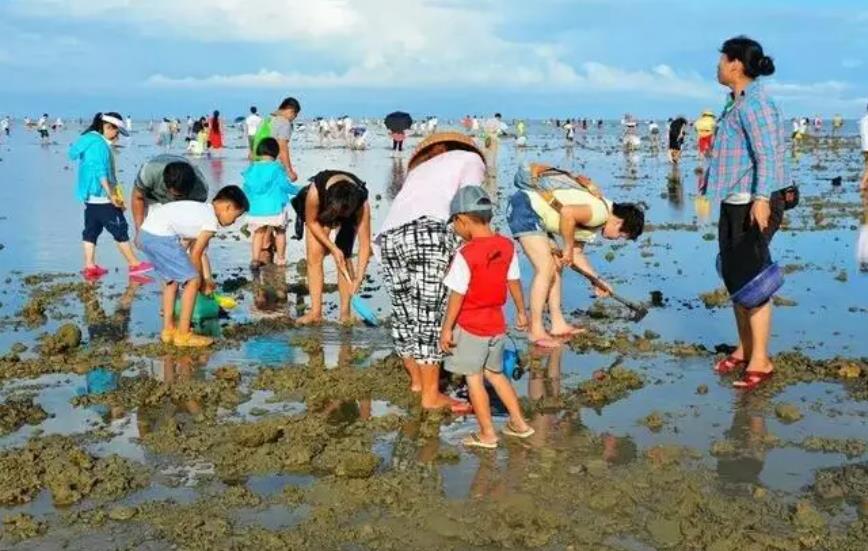 8月22日平潭岛赶海潮汐表