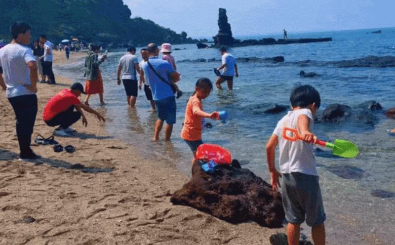 9月17日涠洲岛赶海潮汐表