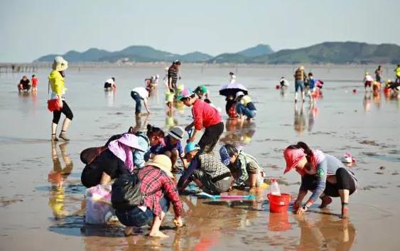 10月9日东山岛赶海潮汐表