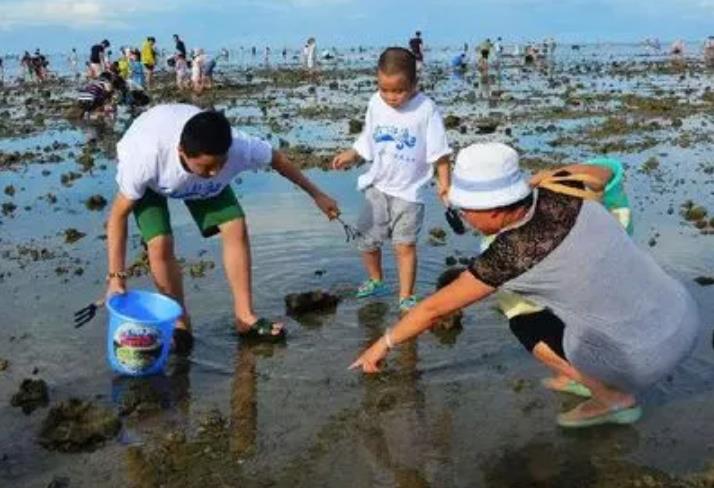 8月17日广西涠洲岛赶海潮汐表