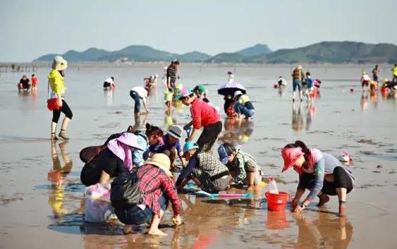 10月5日福建平潭岛赶海潮汐表